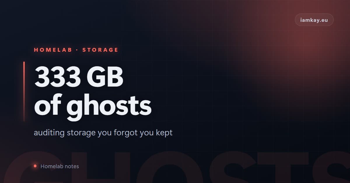 The 333 GB I didn't know I was keeping